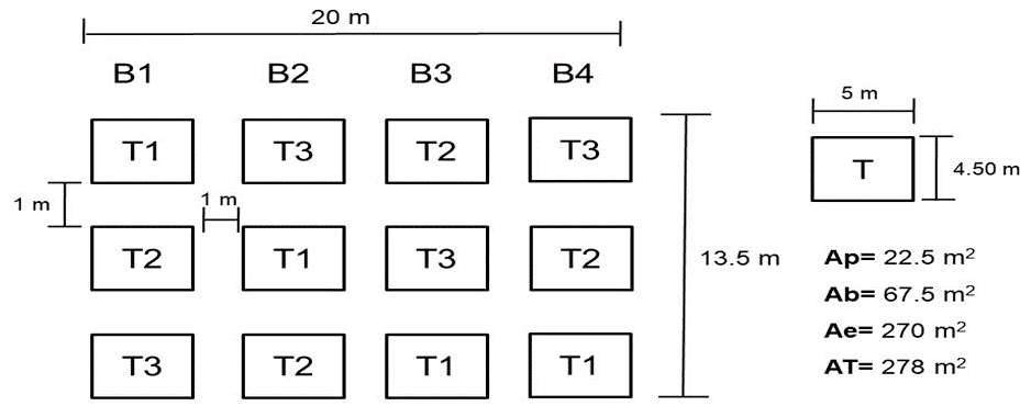 Distribución de tratamientos en el diseño experimental de bloques al azar