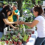 Feria de Emprendedores