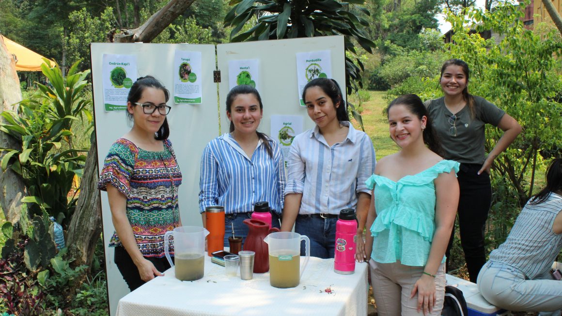 Tour del terere en la FCA/UNA en conmemoración al Día Nacional de la Yerba Mate