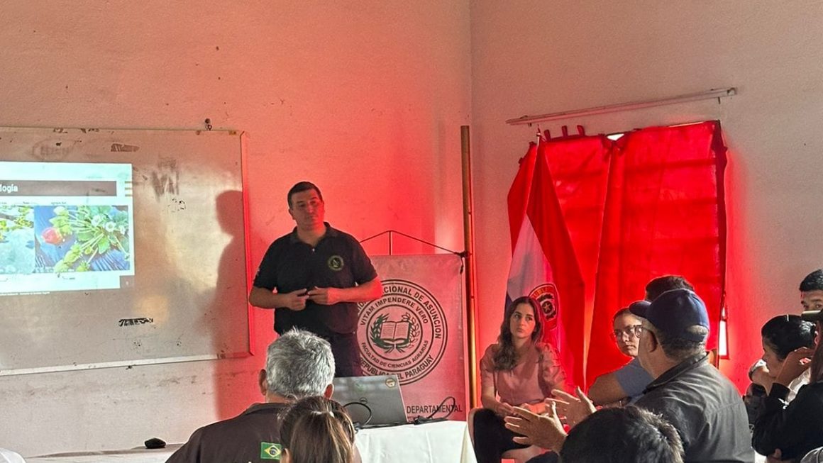 Productores, técnicos y estudiantes identificaron principales enfermedades que impactan en la producción y la calidad de frutilla