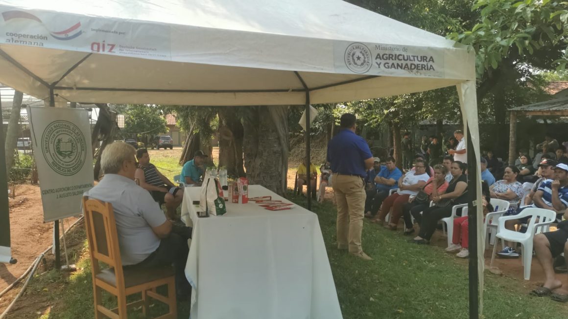 La FCA/UNA capacita a productores, técnicos y estudiantes en producción de cultivo de lechuga