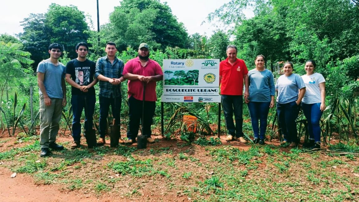 Alianza en favor del cuidado de especies forestales en Plaza Sol Naciente de Capiatá