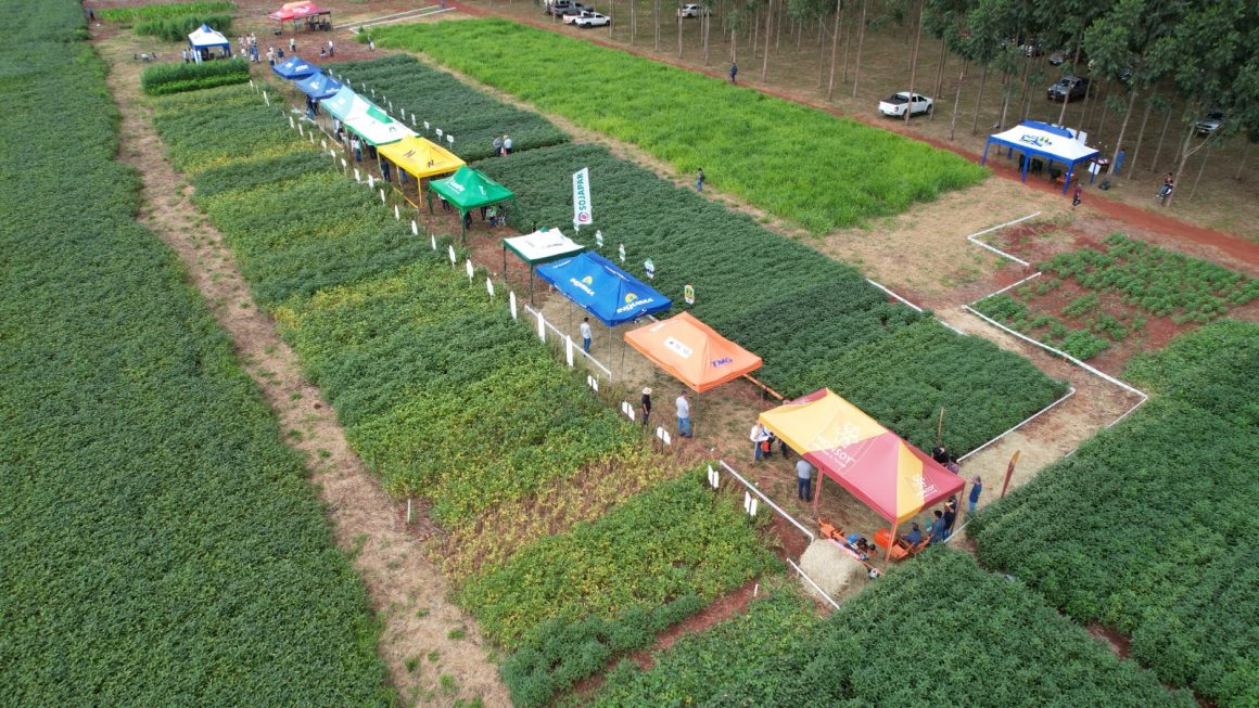 Estudiantes de la FCA/UNA presentaron trabajos en día de campo en Alto Paraná