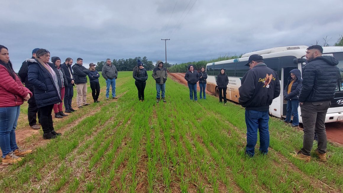 Estudiantes de la Maestría en Fitosanidad de la FCA/UNA participaron de gira educativa