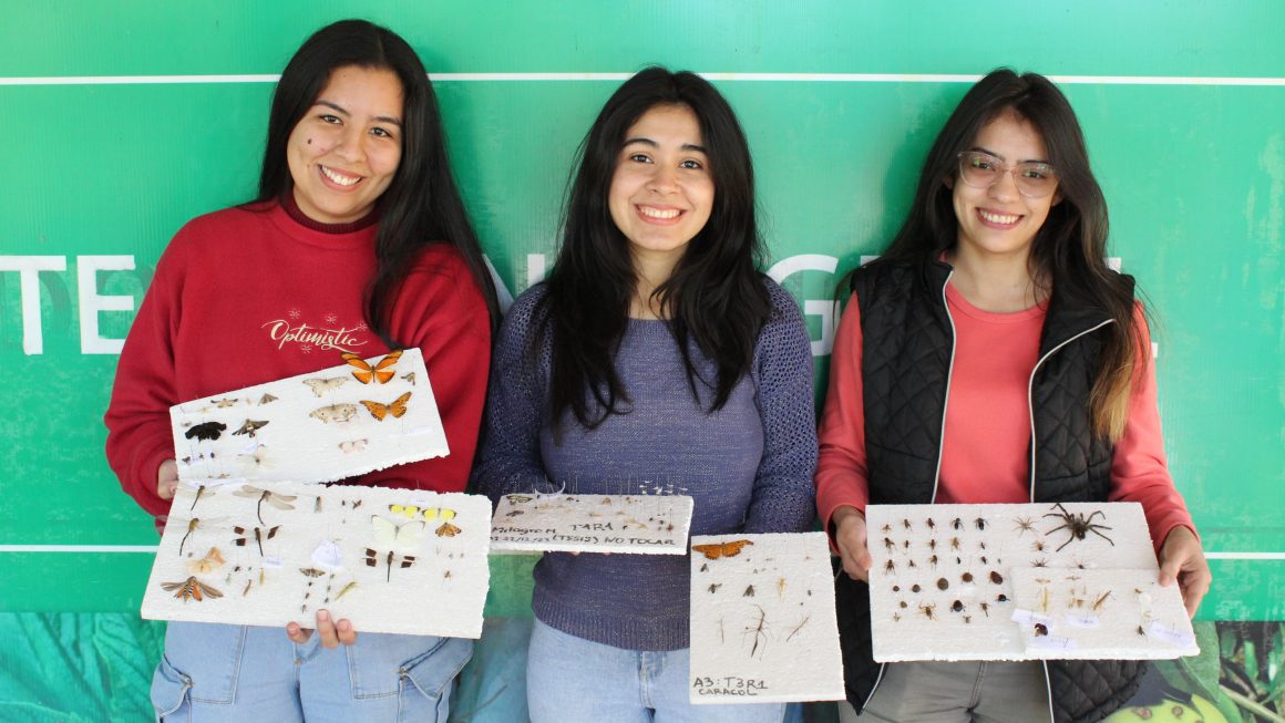 Tesistas de la FCA/UNA realizaron la primera investigación sobre artropofauna del Cerrado del Río Apa