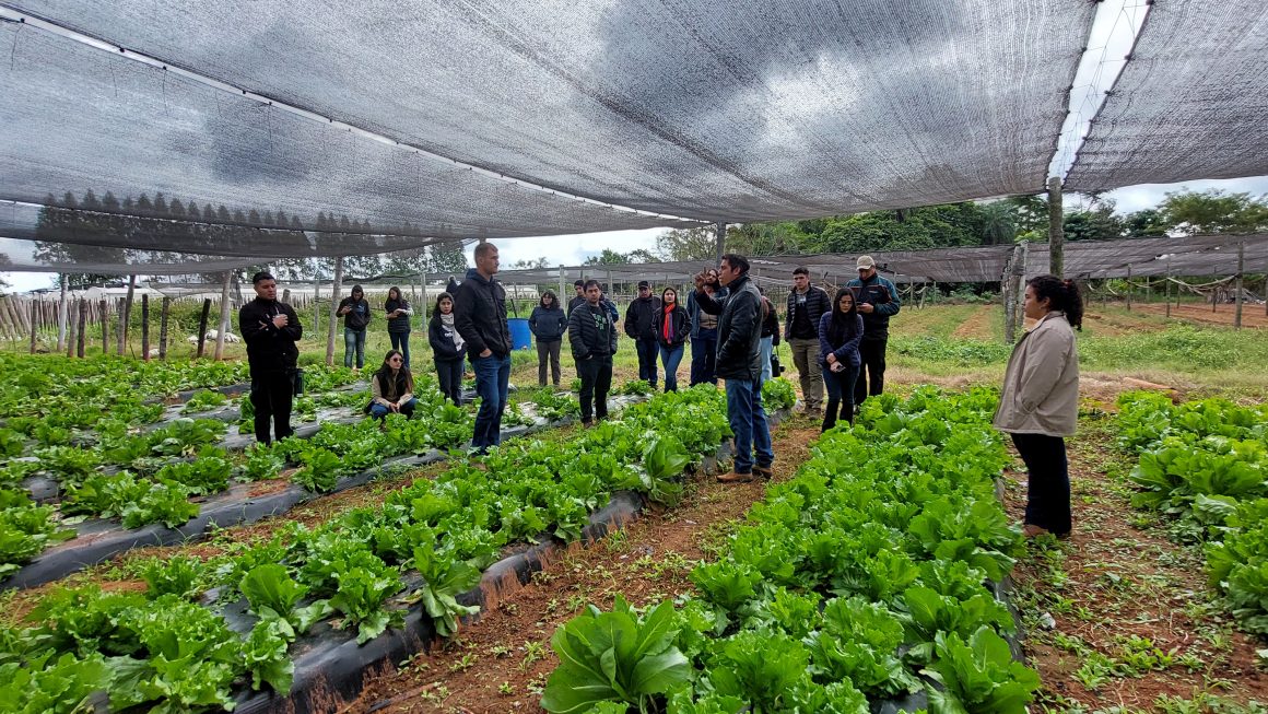 Estudiantes de la FCA/UNA visitaron empresa de producción hortícola