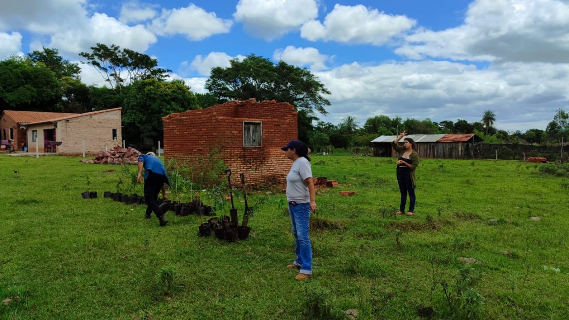 Plantan especies forestales nativas y exóticas en diferentes fincas de San Ignacio, Misiones