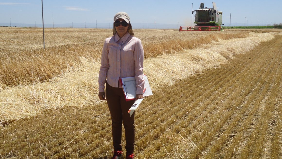 Docente de la FCA/UNA Filial San Pedro publica artículo científico en prestigiosa revista Agriculture