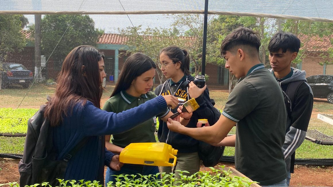 Taller teórico – práctico sobre monitoreo de insectos con trampas pegajosas