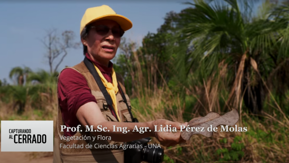 Docentes Investigadores de la FCA/UNA participan en documental sobre el Cerrado y el desafío de conservación en Paraguay