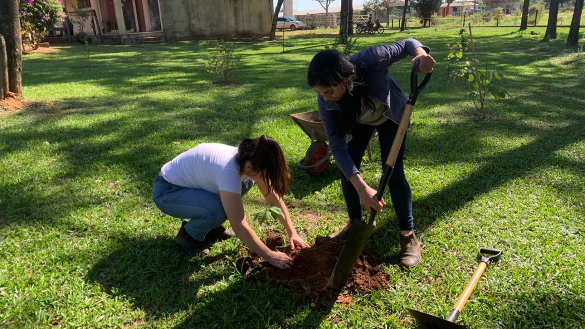 “Plantando Árboles; Sumamos Oxígeno” en la Facultad de Ciencias Agrarias – Filial Caazapá