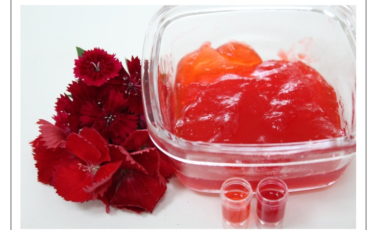 Estudiantes de la FCA/UNA defendieron exitosamente tesis de grado con apoyo del PUBIABM