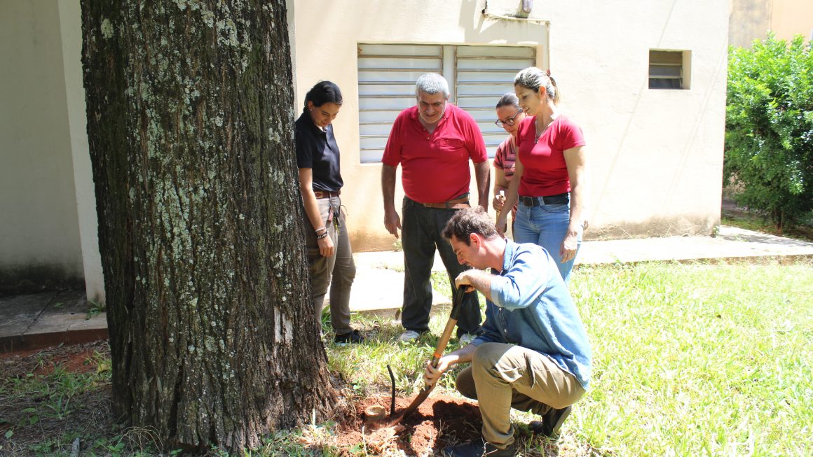 Facultad de Ciencias Agrarias-UNA impulsa la Meliponicultura en Paraguay