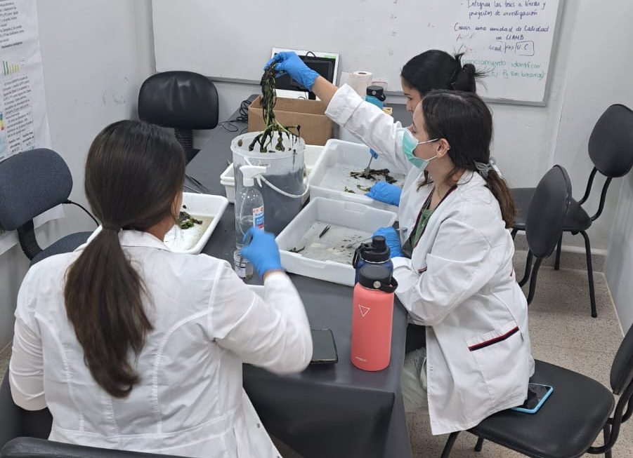 Evalúan calidad del agua con Inteligencia Artificial