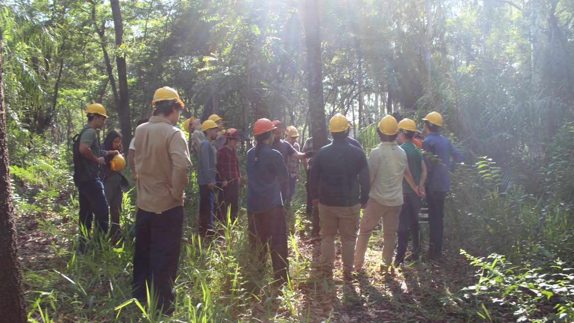 Jornada de campo y clausura de curso marcan el cuarto día de la X Semana Forestal en la FCA/UNA