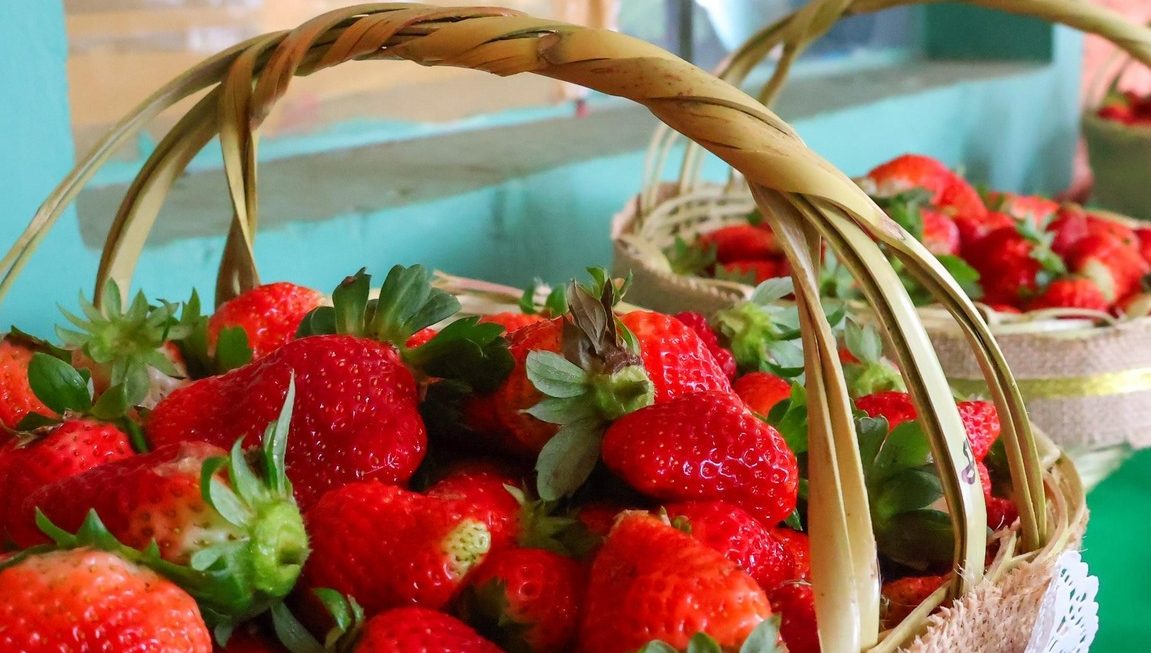 Charla sobre Interpretación de Análisis de Suelo y Corrección de Fertilidad en el Cultivo de Frutilla