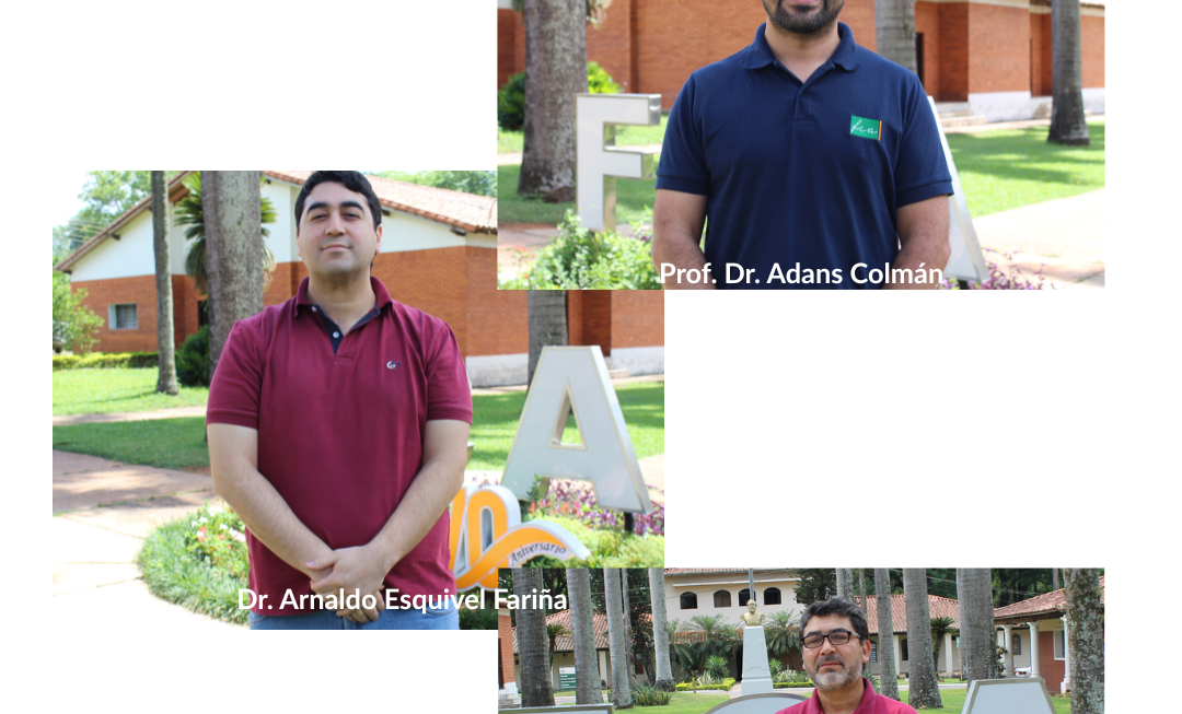 Investigadores de la FCA/UNA fueron categorizados en el Sistema Nacional de Investigadores