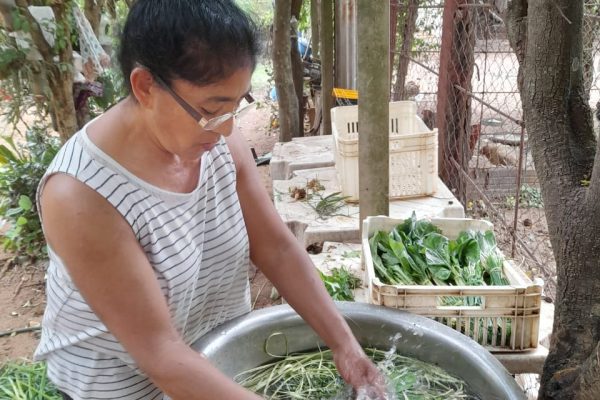 Acción comunitaria y aprendizaje agroecológico de estudiantes de la FCA/UNA en Itauguá