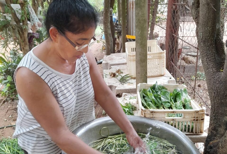 Acción comunitaria y aprendizaje agroecológico de estudiantes de la FCA/UNA en Itauguá