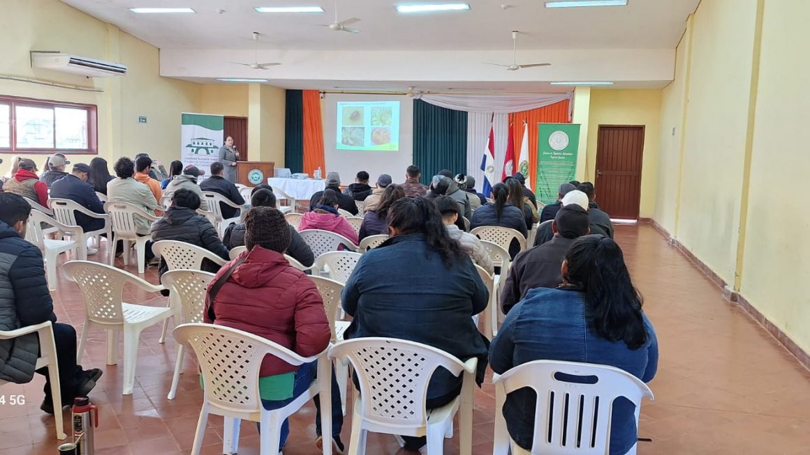 Fortalecimiento de la producción de papa: Jornada técnica en la FCA/UNA Filial Caazapá