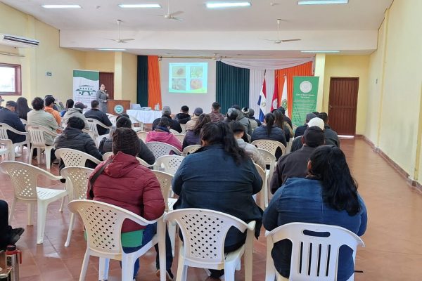Fortalecimiento de la producción de papa: Jornada técnica en la FCA/UNA Filial Caazapá
