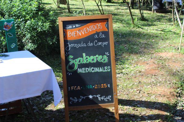 Rescatando Saberes: La Fuerza de las Plantas Medicinales en Nuestra Cultura