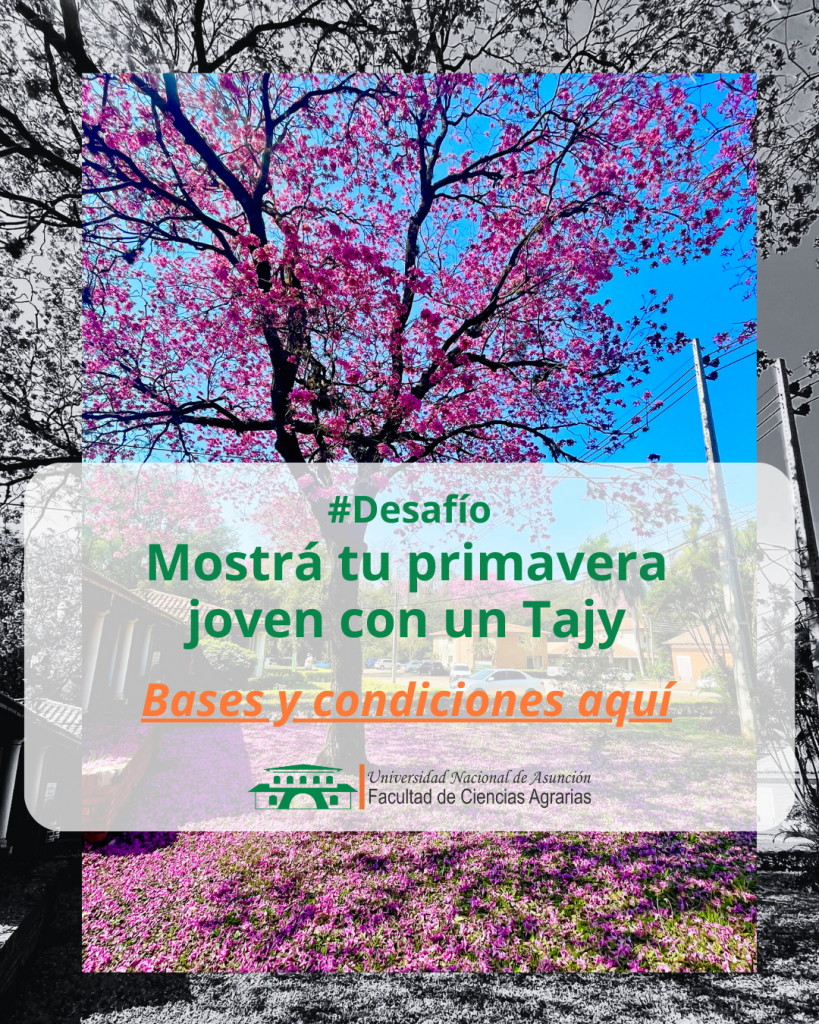 Mostrá tu primavera joven con un Tajy