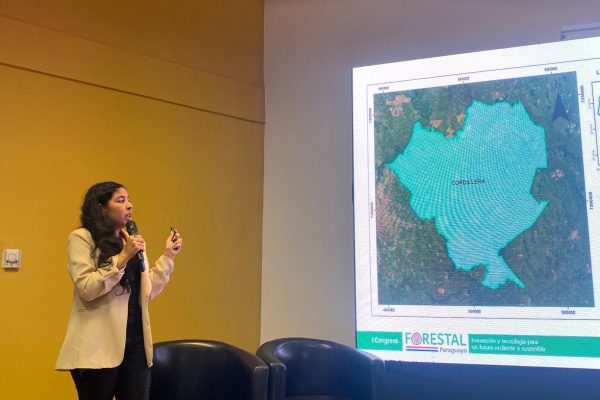 Conferencias Paralelas y Sesión de Pósteres dieron un marco científico al inicio del I Congreso Forestal Paraguayo