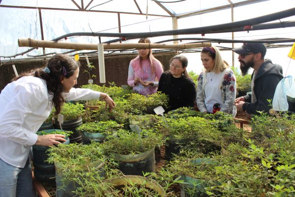 Participantes del BOTANICAMP 2025 visitaron la FCA/UNA