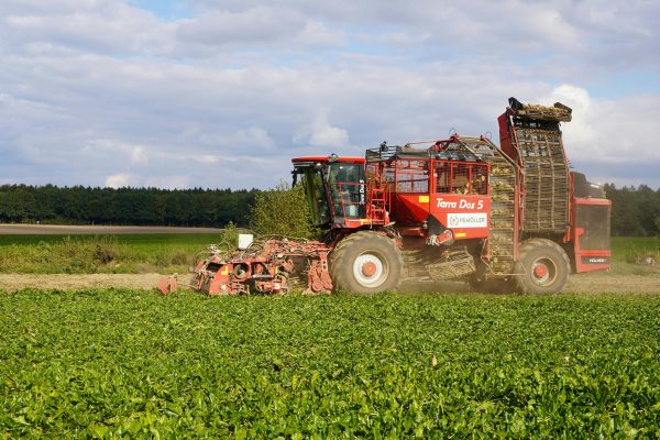 FCA/UNA publica análisis sobre el financiamiento rural en Paraguay