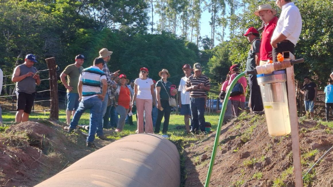 Asistencia técnica para el fortalecimiento de la producción porcina en San Rafael del Paraná: experiencias y resultados