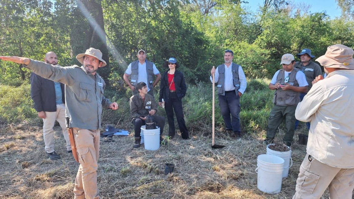 Avanza el Curso Superior en Biodiversidad, Restauración de Ecosistemas y Protección de Polinizadores