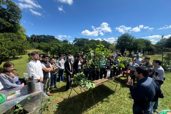 Taller teórico-práctico sobre producción de mudas y competencia de injerto en FCA/UNA