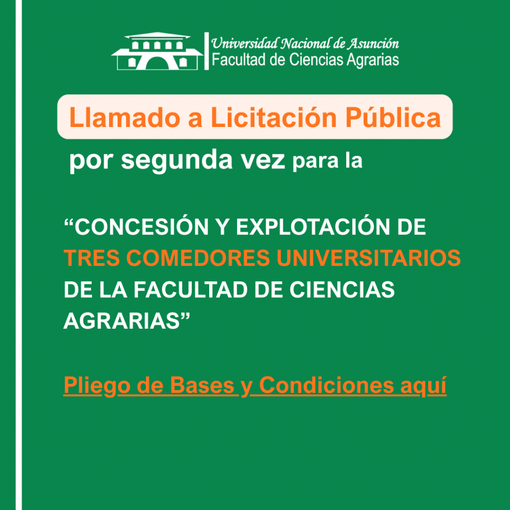 Licitación sitio web (2)