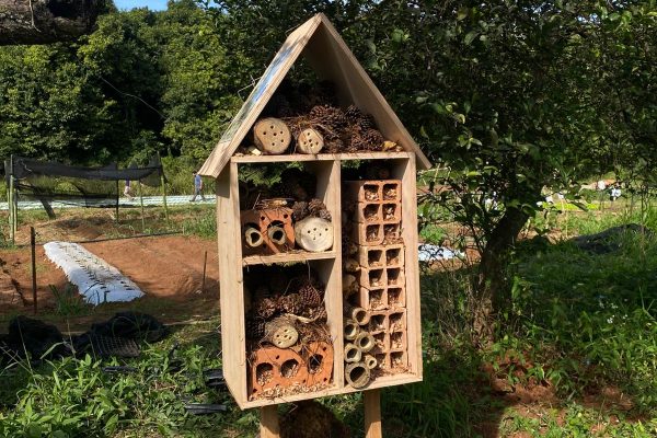 Estudiantes de Ingeniería Ambiental construyeron e instalaron hoteles para polinizadores en conmemoración al Día de la Diversidad Biológica