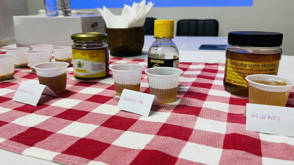 Conmemoraron el Día Mundial de las Abejas con jornada de reflexión sobre polinizadores, biodiversidad y servicios ecosistémicos