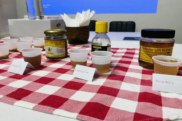 Conmemoraron el Día Mundial de las Abejas con jornada de reflexión sobre polinizadores, biodiversidad y servicios ecosistémicos