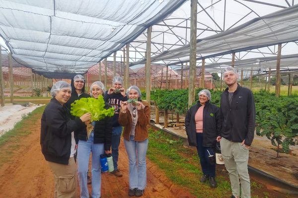 Estudiantes de la FCA/UNA visitaron una planta de producción hidropónica