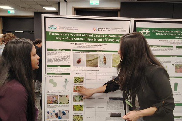 Investigación de la FCA/UNA sobre vectores de virus en cultivos hortícolas llega a conferencia internacional en Nueva Zelanda