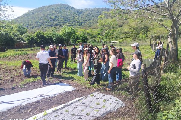 Gira de estudios al Macizo Acahay permitió conocer experiencias de producción de especies medicinales
