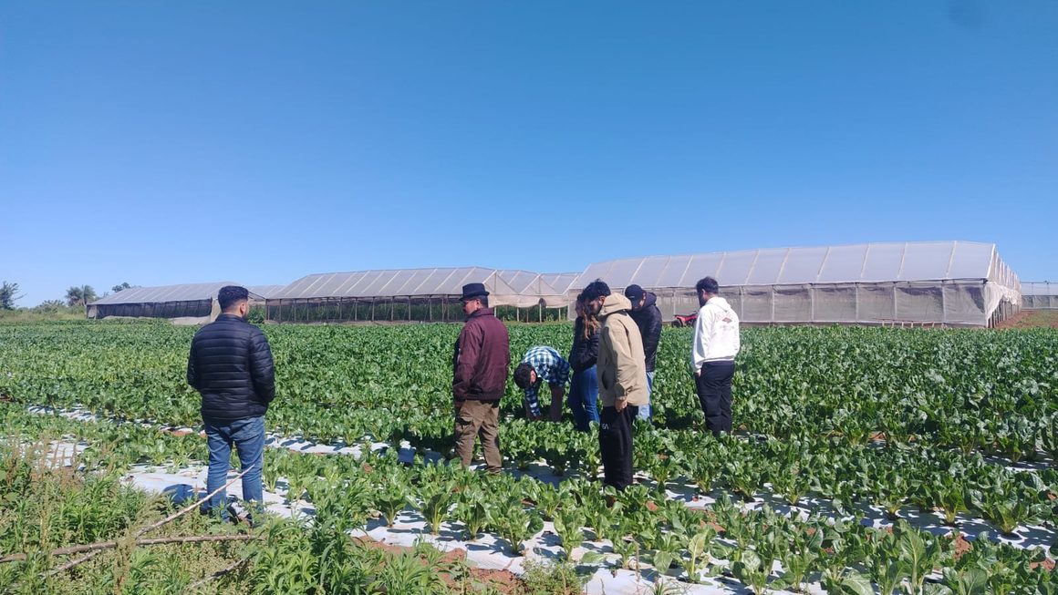 Estudiantes de Ingeniería Agronómica visitaron un establecimiento tecnificado de producción hortícola en Nueva Italia