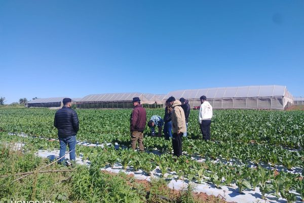 Estudiantes de Ingeniería Agronómica visitaron un establecimiento tecnificado de producción hortícola en Nueva Italia