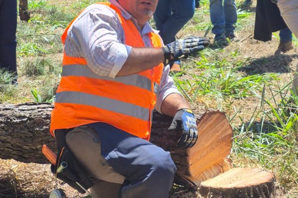 FCA/UNA y CEFCA realizaron jornada de capacitación sobre uso y mantenimiento de equipos forestales