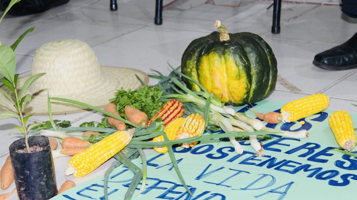 La FCA/UNA acompañó el diálogo sobre semillas, soberanía alimentaria y respuestas agroecológicas frente al cambio climático
