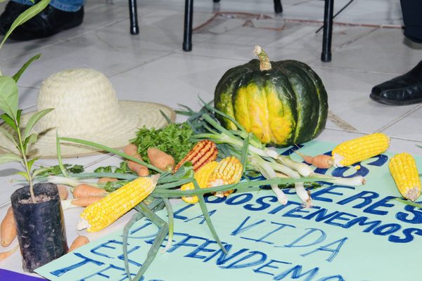 La FCA/UNA acompañó el diálogo sobre semillas, soberanía alimentaria y respuestas agroecológicas frente al cambio climático